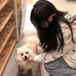 幻书启世录taptap游戏下载